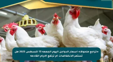 «تراجع ملحوظ» أسعار الدواجن اليوم الجمعة 15 أغسطس 2025 هل تستمر الانخفاضات ام ترتفع الأيام القادمة
